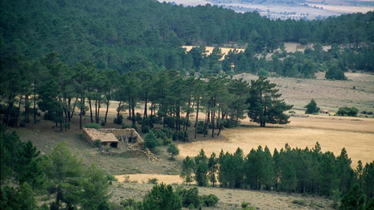 בית הארחה Talayuelas  	La Casa Grande מראה חיצוני תמונה